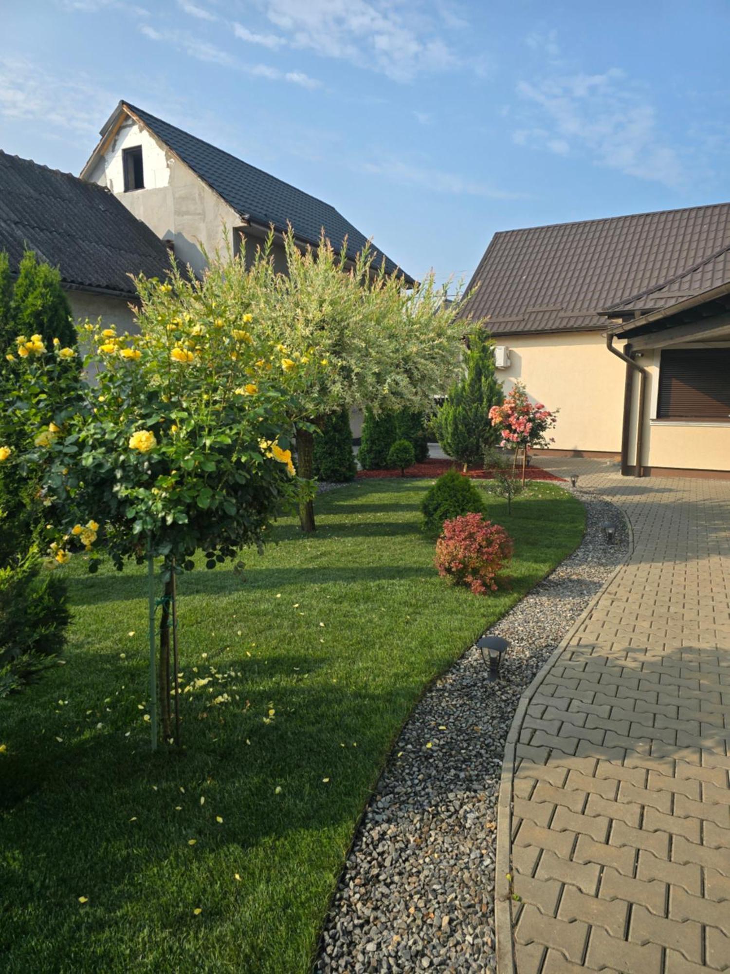 Salt Orchid Apartment Turda